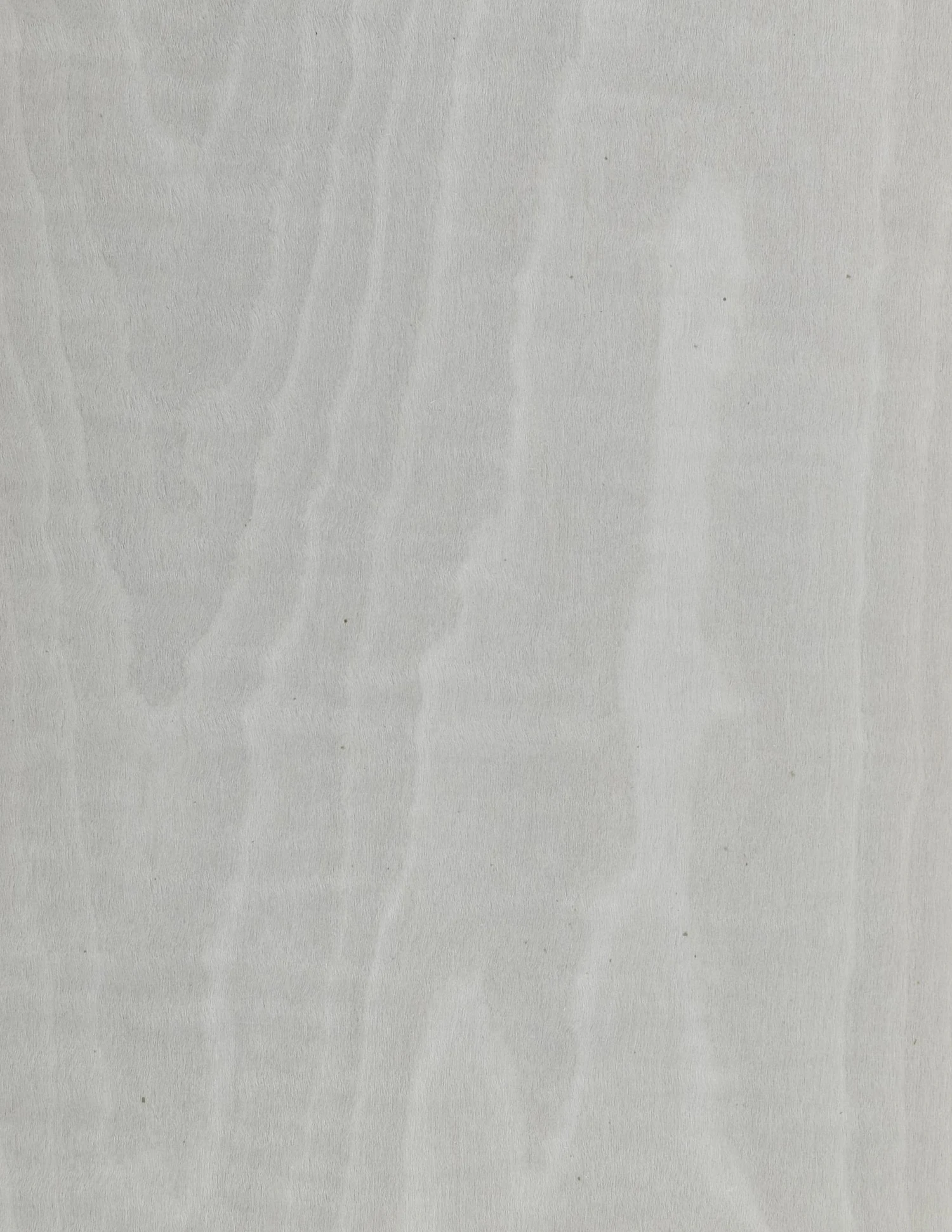 Veneer sample